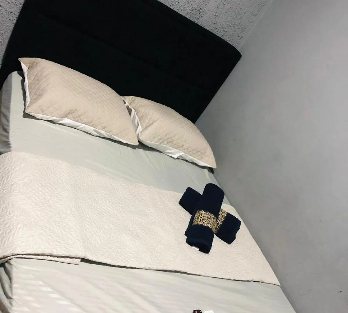 Firmh Hostel Cafe Da Manha E Translado Aeroporto 24 Hrs Incluso Guarulhos